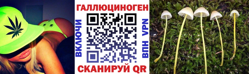 Галлюциногенные грибы ЛСД  Копейск 