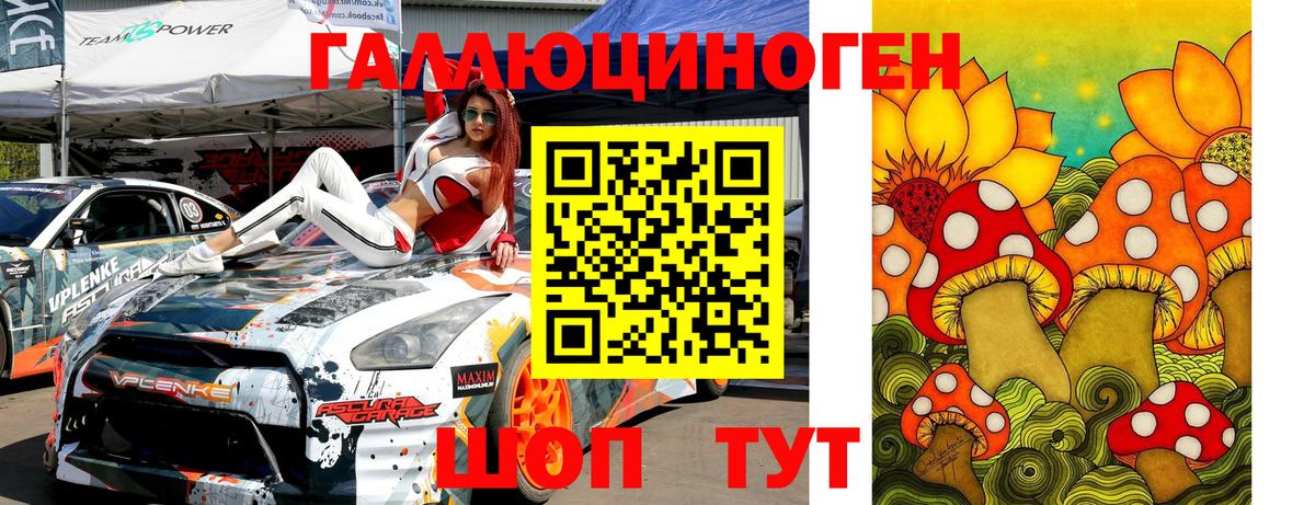 Псилоцибиновые грибы Psilocybine cubensis Копейск