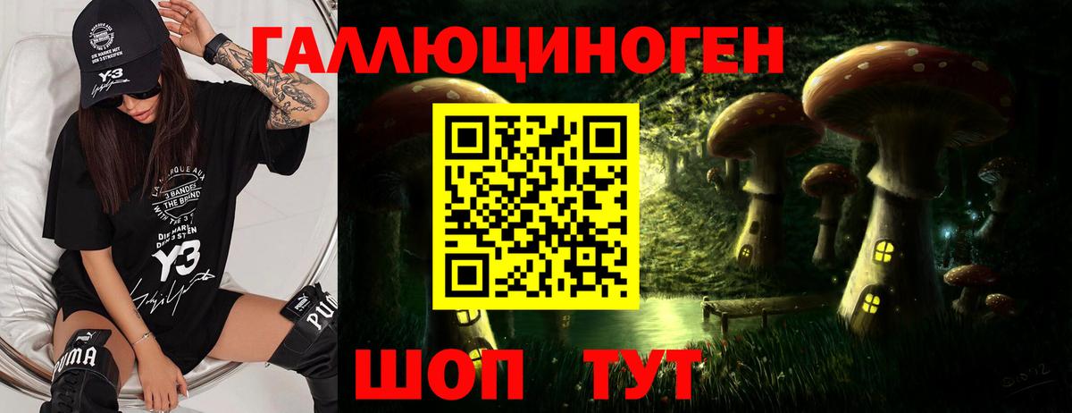 Копейск  Псилоцибиновые грибы Psilocybine cubensis  Галлюциногенные грибы мухоморы  Вход с VPN 